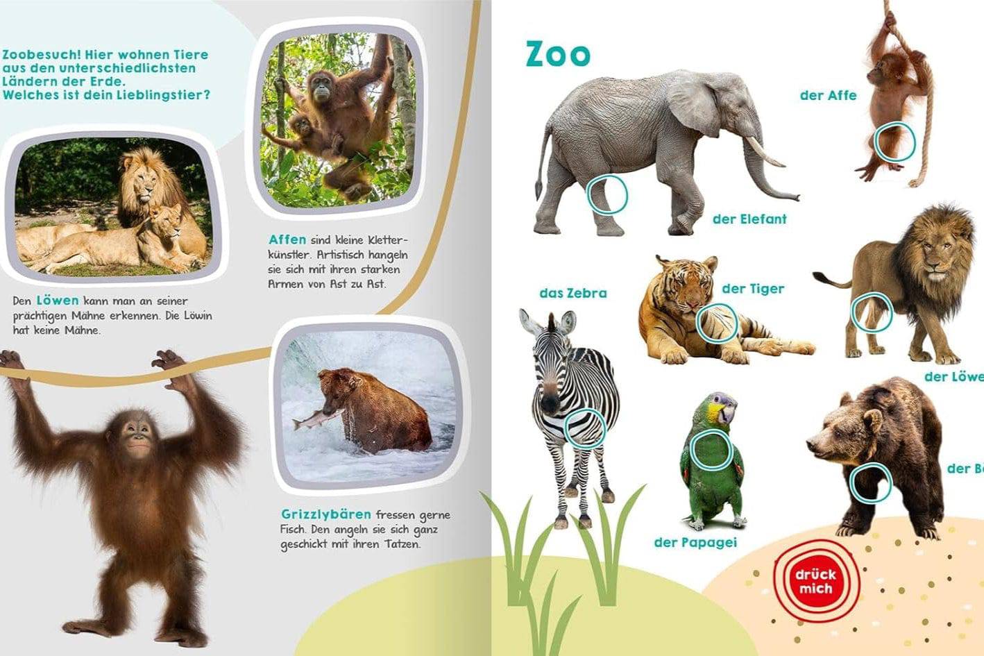 Mein großes Buch der Tiergeräusche