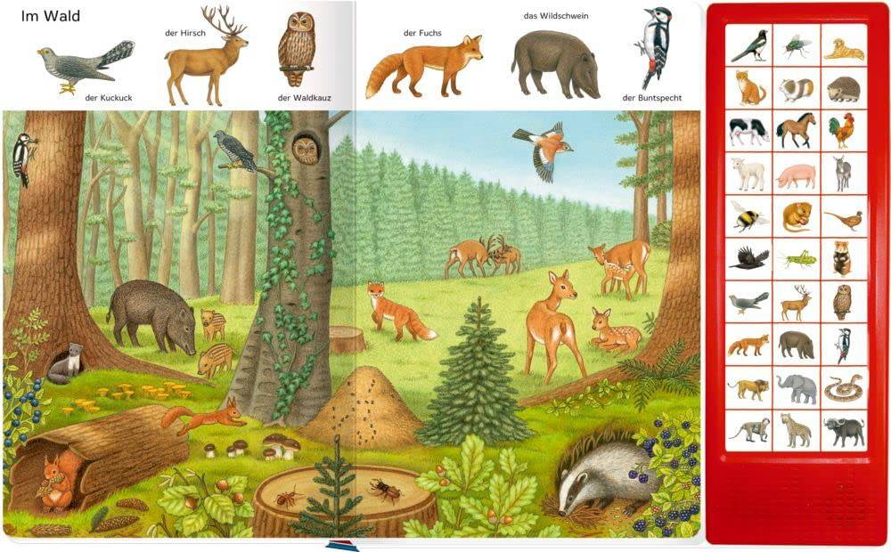 Bilder suchen - Wörter finden