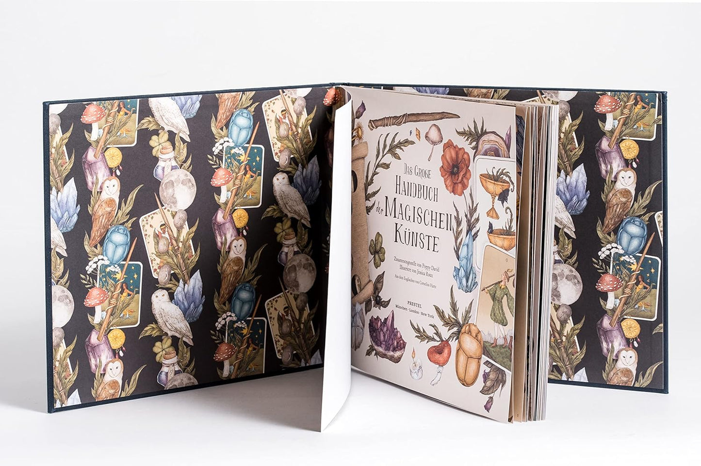Das große Handbuch der magischen Künste - The German Bookstore ZA