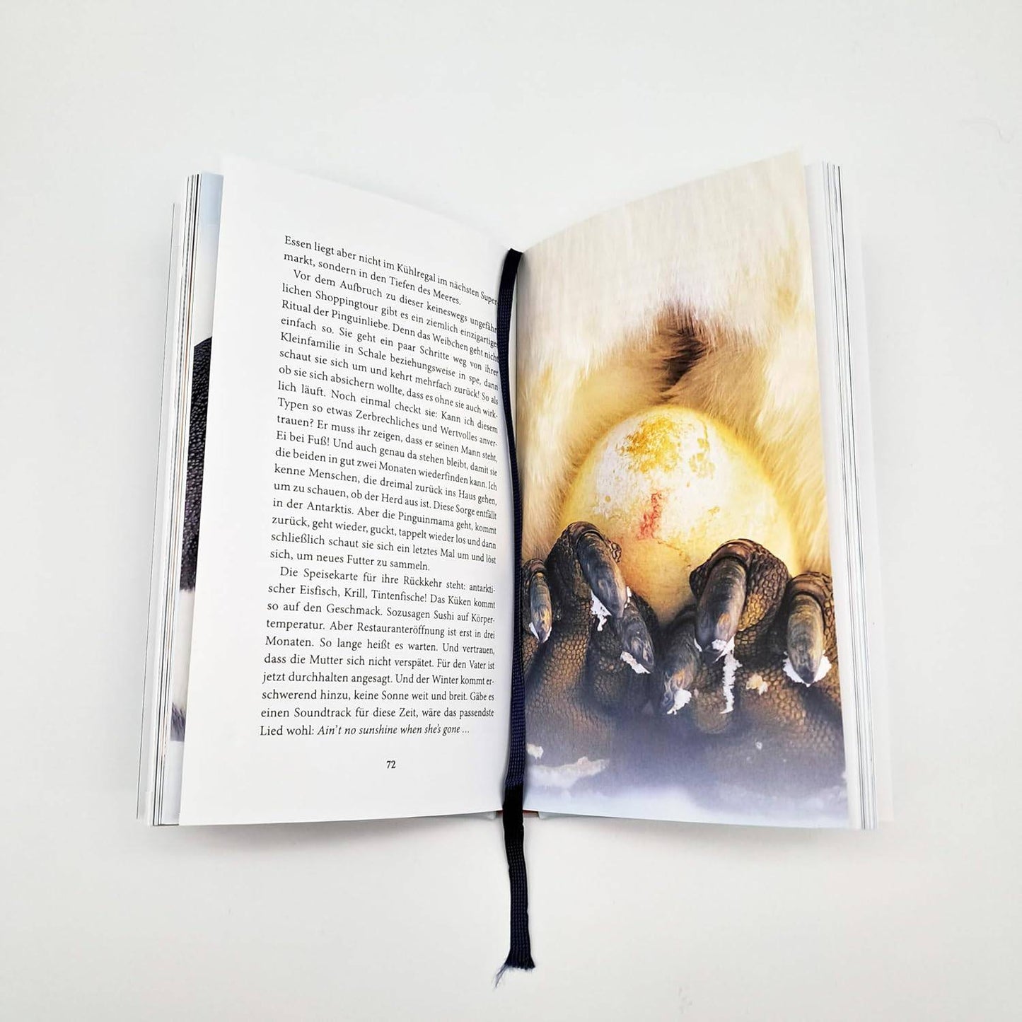 Der Pinguin, der fliegen lernte - The German Bookstore ZA