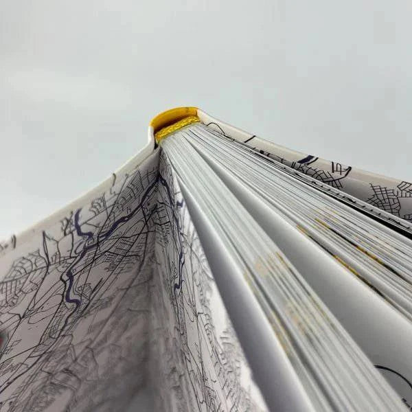 Der verrückteste Reiseführer Deutschlands - The German Bookstore ZA