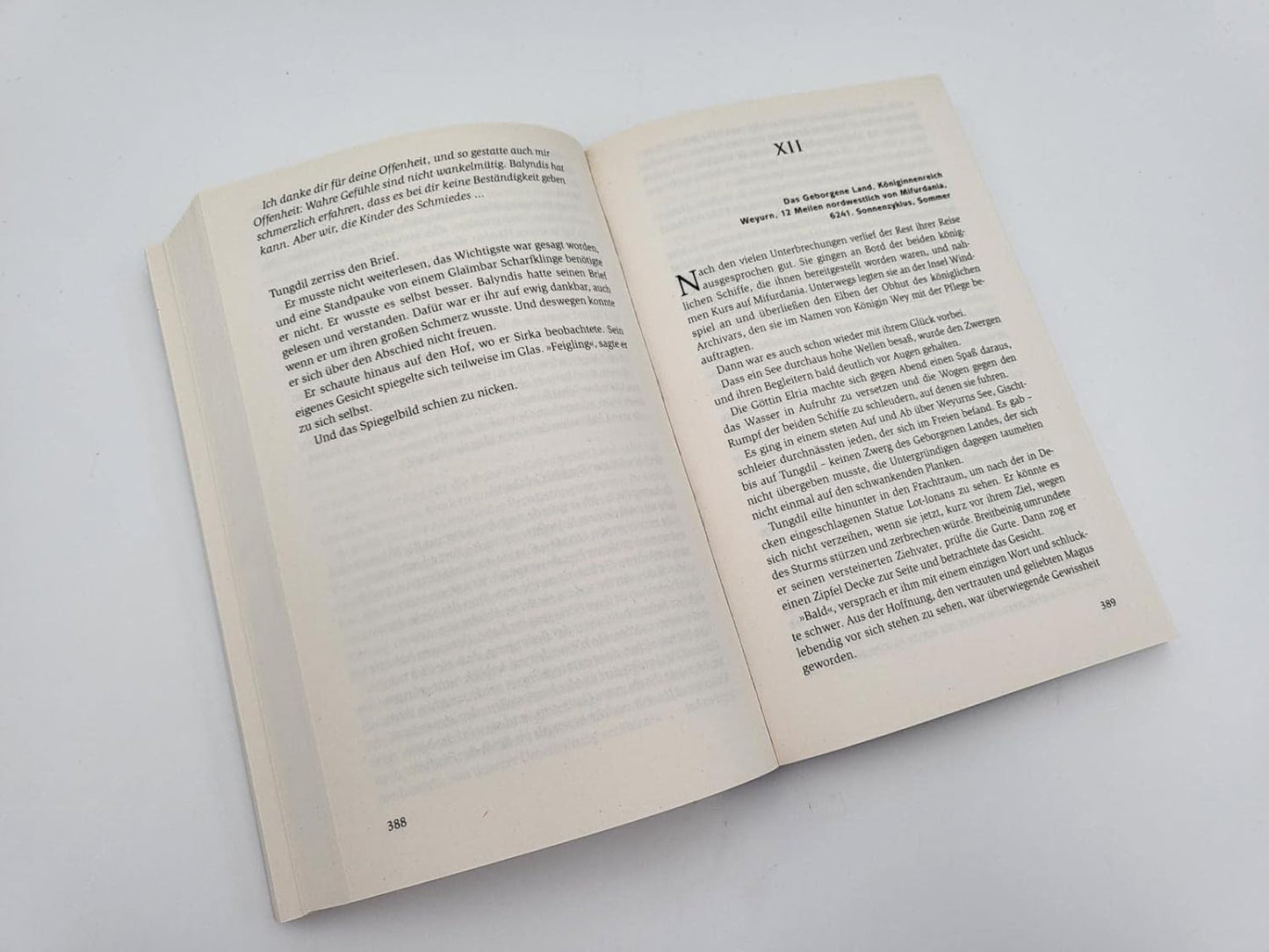 Die Rache der Zwerge (Band 3) - The German Bookstore ZA