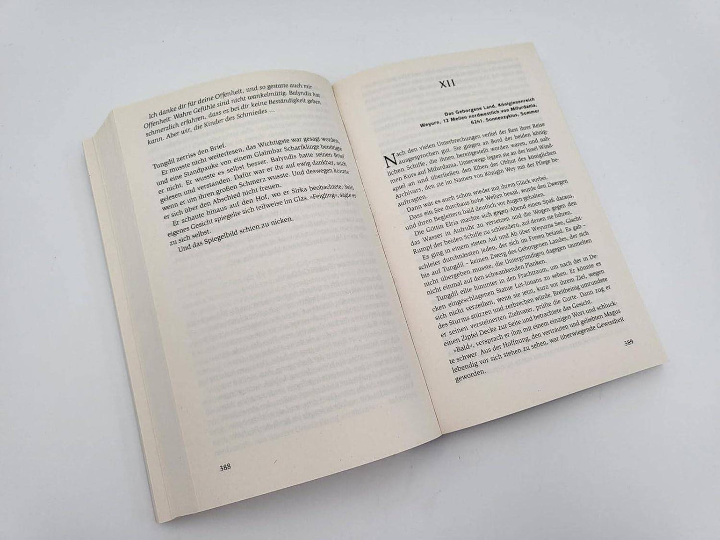 Die Rache der Zwerge (Band 3) - The German Bookstore ZA