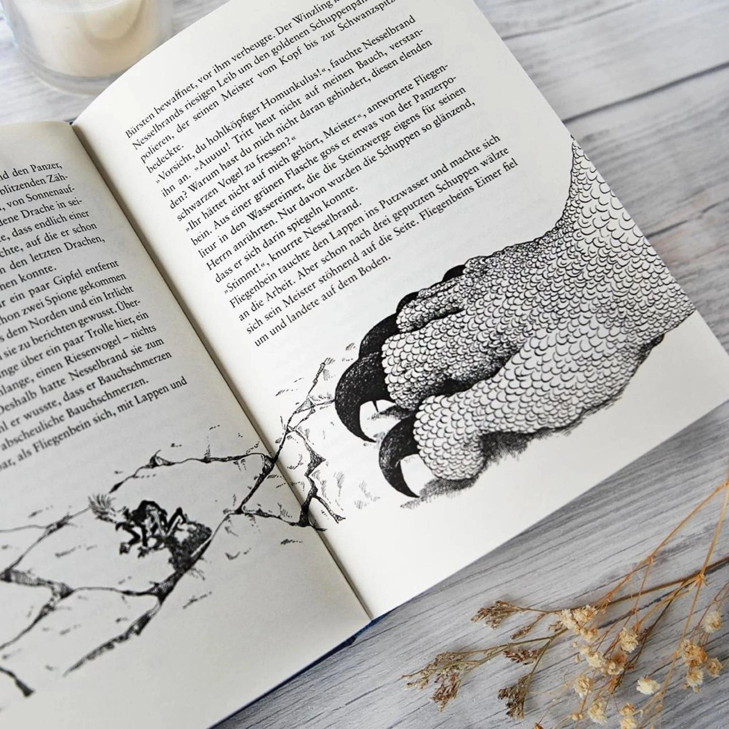 Drachenreiter (Band 1) - The German Bookstore ZA