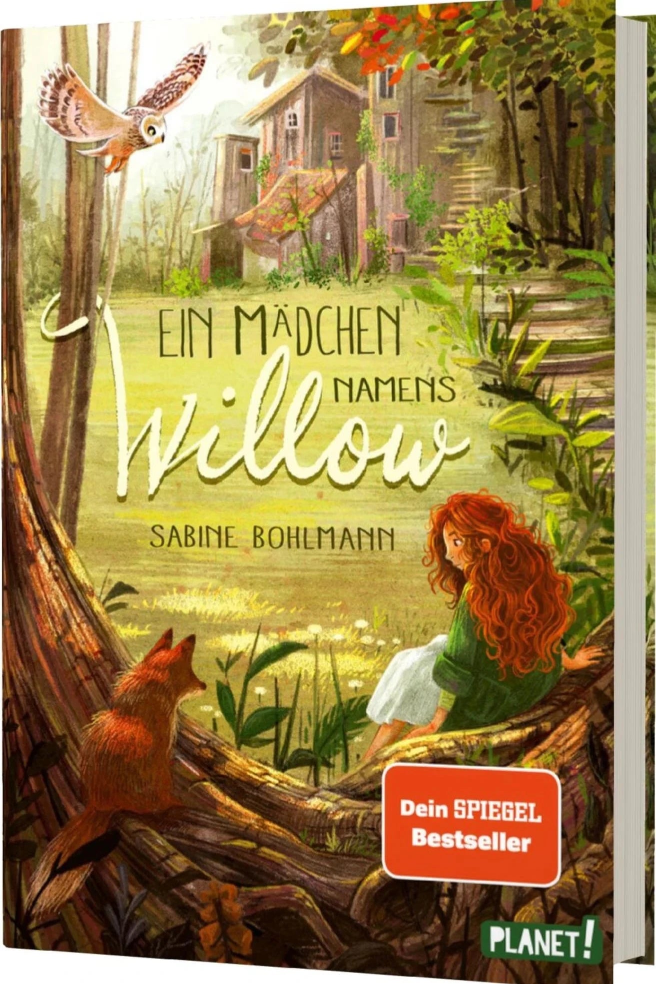 Ein Mädchen namens Willow (Band 1) - The German Bookstore ZA