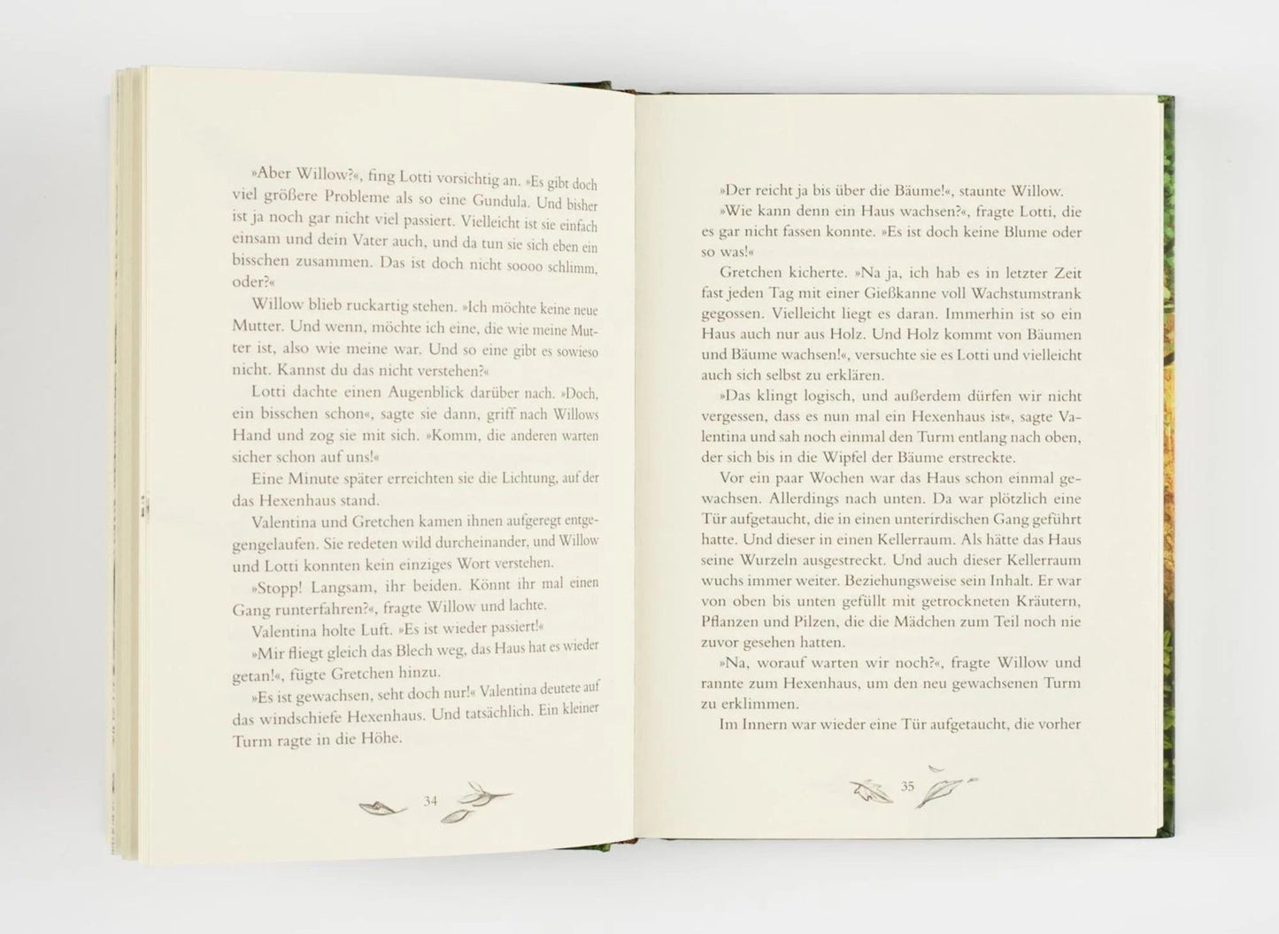 Ein Mädchen namens Willow (Band 2) - The German Bookstore ZA