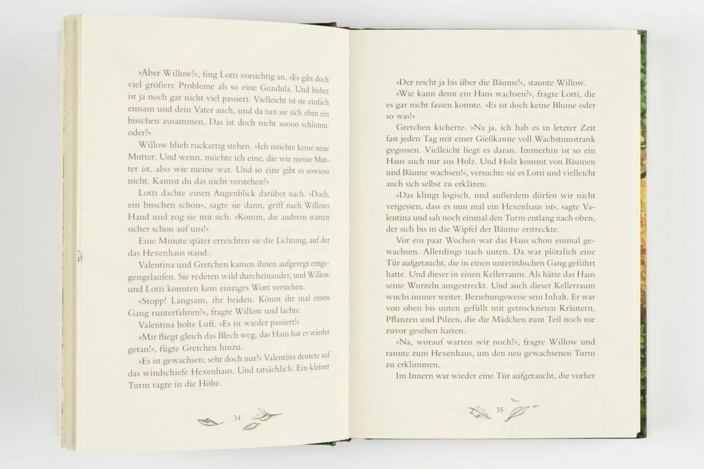 Ein Mädchen namens Willow (Band 2) - The German Bookstore ZA