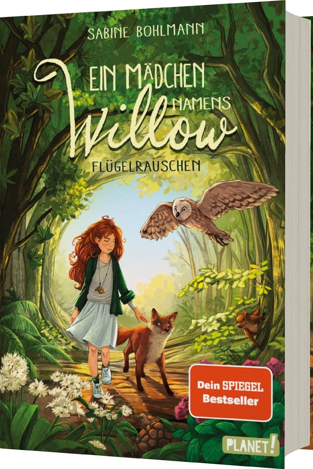 Ein Mädchen namens Willow (Band 3) - The German Bookstore ZA