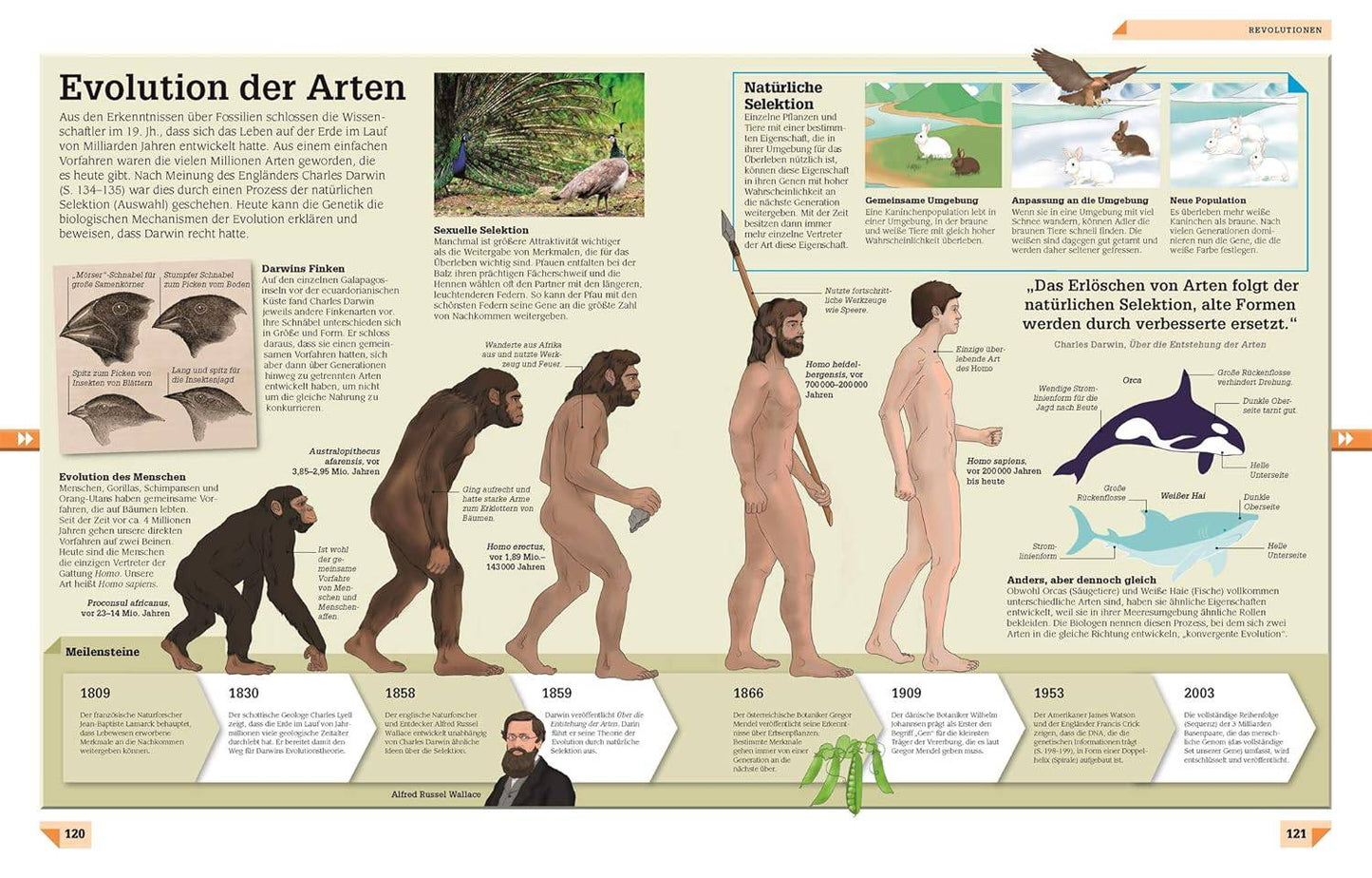 Geniale Entdeckungen und Erfindungen - The German Bookstore ZA