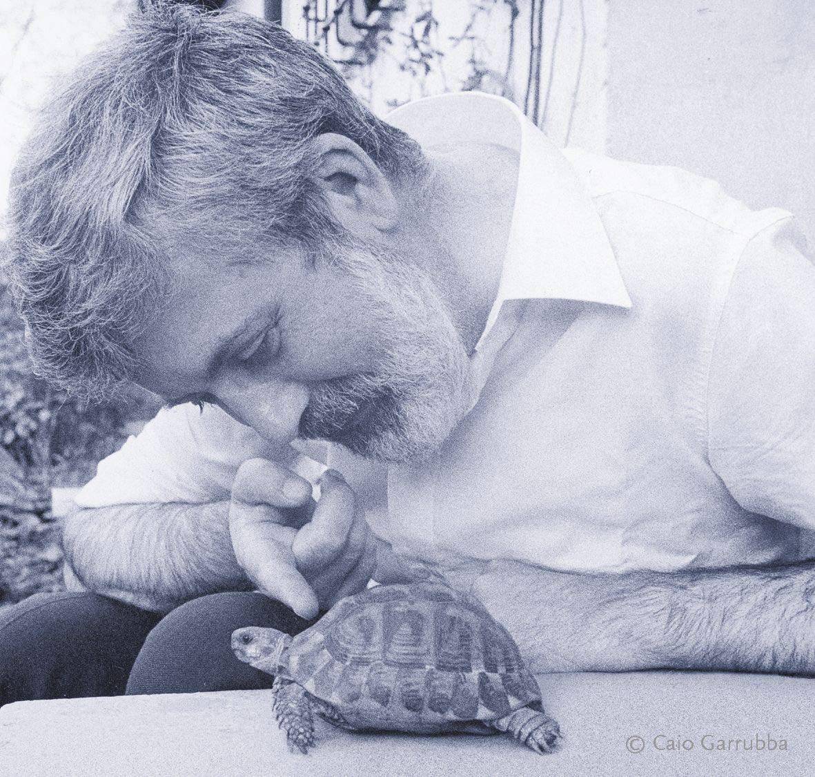 Hier kommt Jim Knopf! - The German Bookstore ZA