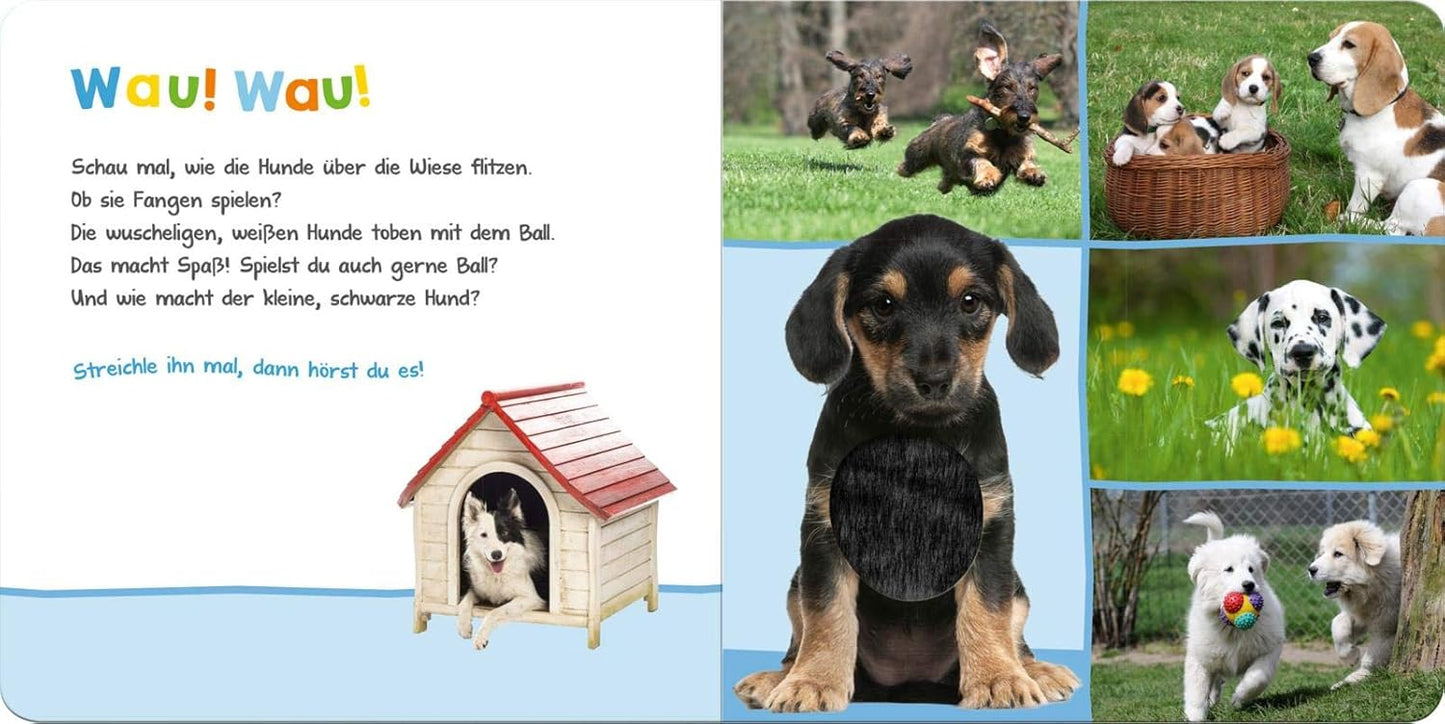 Hör mal rein, wer kann das sein? Lieblingstiere - The German Bookstore ZA