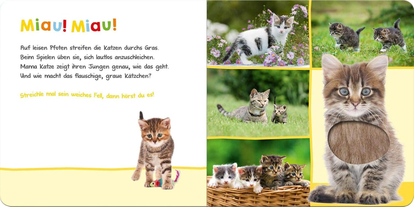 Hör mal rein, wer kann das sein? Lieblingstiere - The German Bookstore ZA