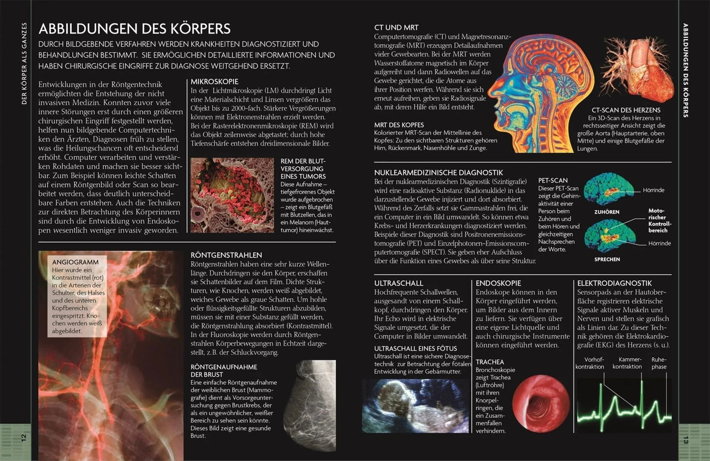 Kompaktatlas menschlicher Körper - The German Bookstore ZA