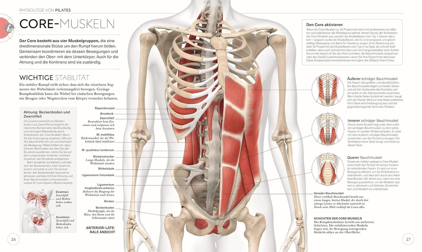 Pilates - Die Anatomie verstehen - The German Bookstore ZA