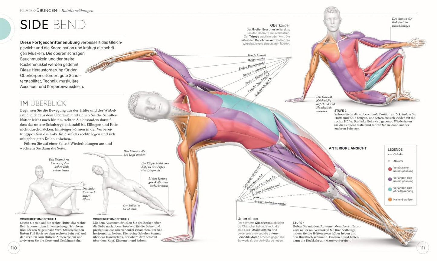 Pilates - Die Anatomie verstehen - The German Bookstore ZA