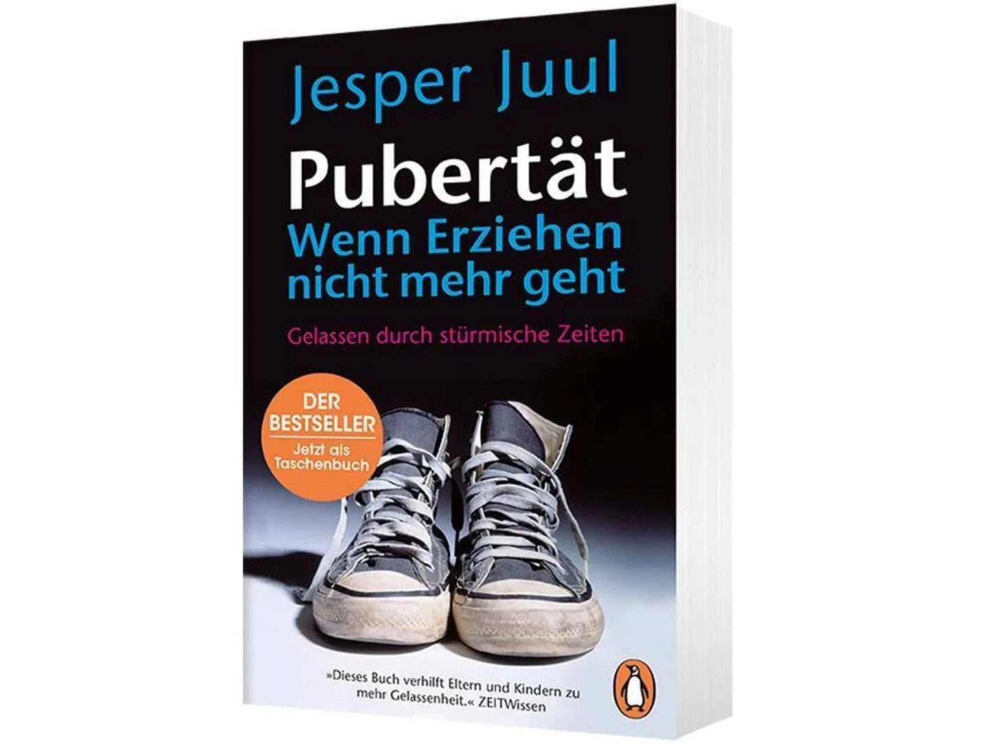 Pubertät – wenn Erziehen nicht mehr geht - The German Bookstore ZA