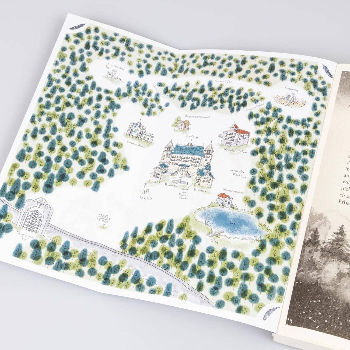 Ravenhall Academy (1) - Verborgene Magie - The German Bookstore ZA