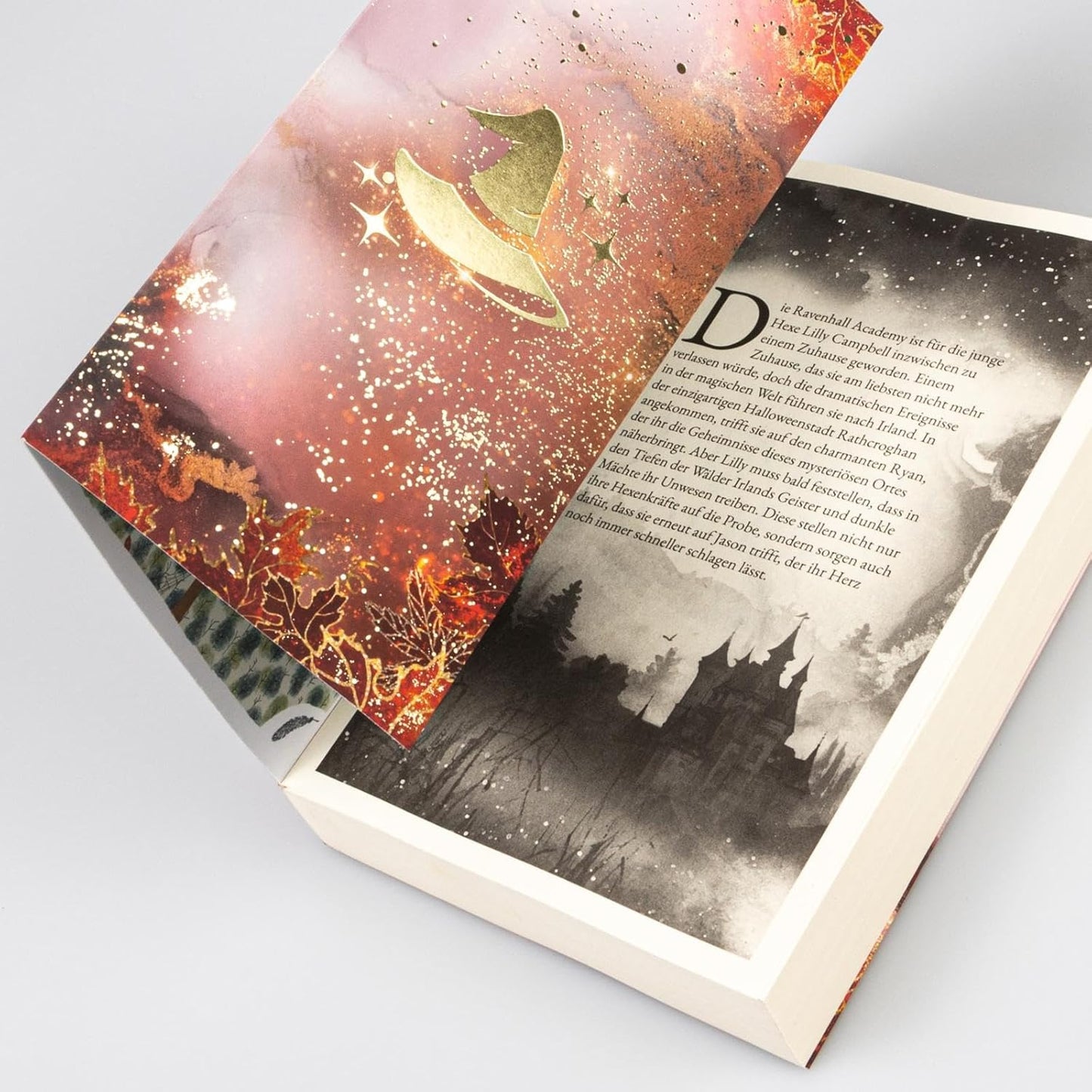 Ravenhall Academy (2) - Erwachte Magie - The German Bookstore ZA