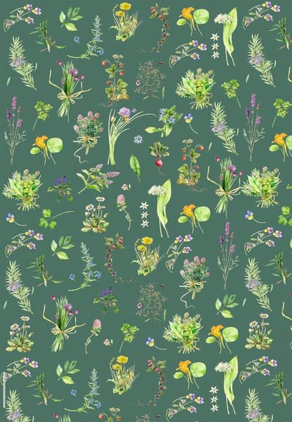 Wrapping paper book - Herbs & Flowers - The German Bookstore ZA