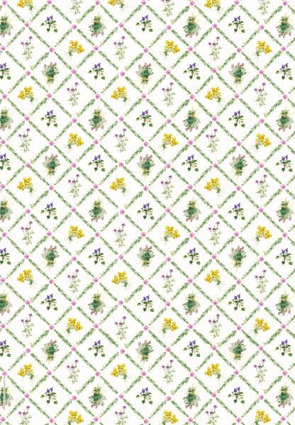 Wrapping paper book - Herbs & Flowers - The German Bookstore ZA