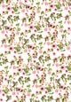 Wrapping paper book - Herbs & Flowers - The German Bookstore ZA