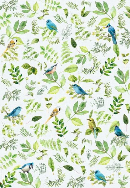 Wrapping paper book - Pure Nature Blue - The German Bookstore ZA