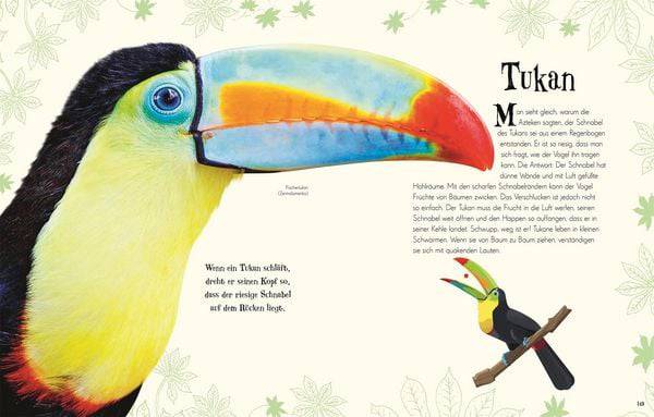 Wundervolle Welt der Tiere - The German Bookstore ZA