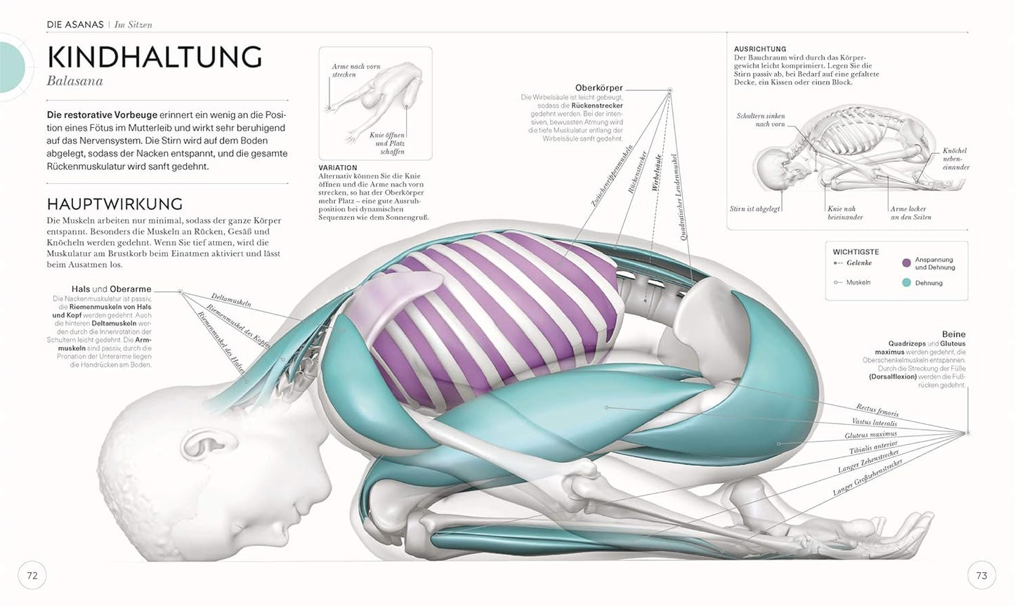 Yoga - Die Anatomie verstehen - The German Bookstore ZA