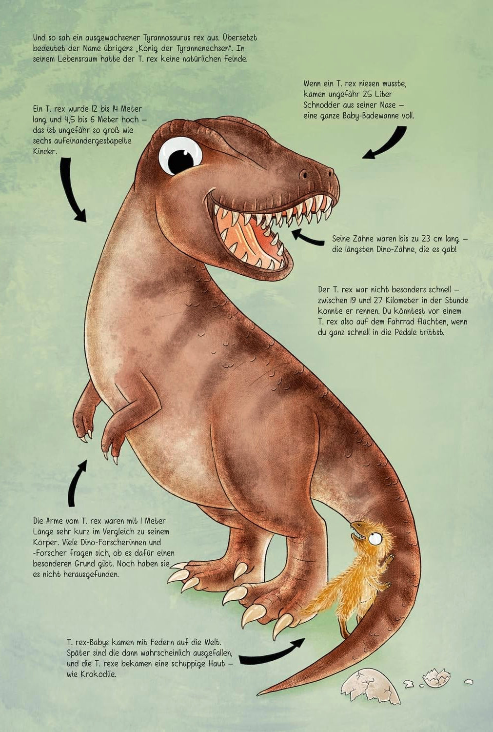 101 Dinos und alles, was du über sie wissen musst!