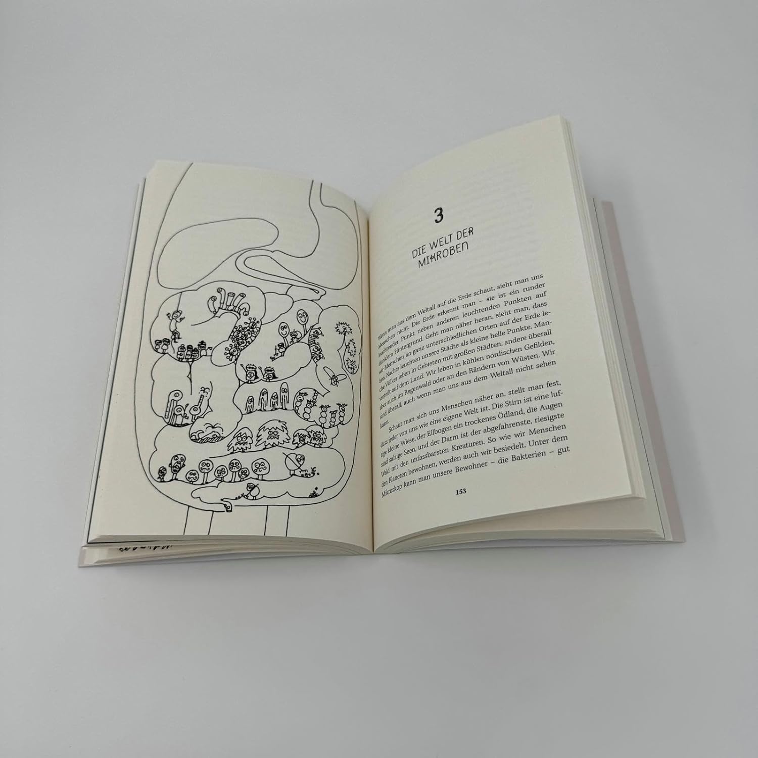 Darm mit Charme: Alles über ein unterschätztes Organ