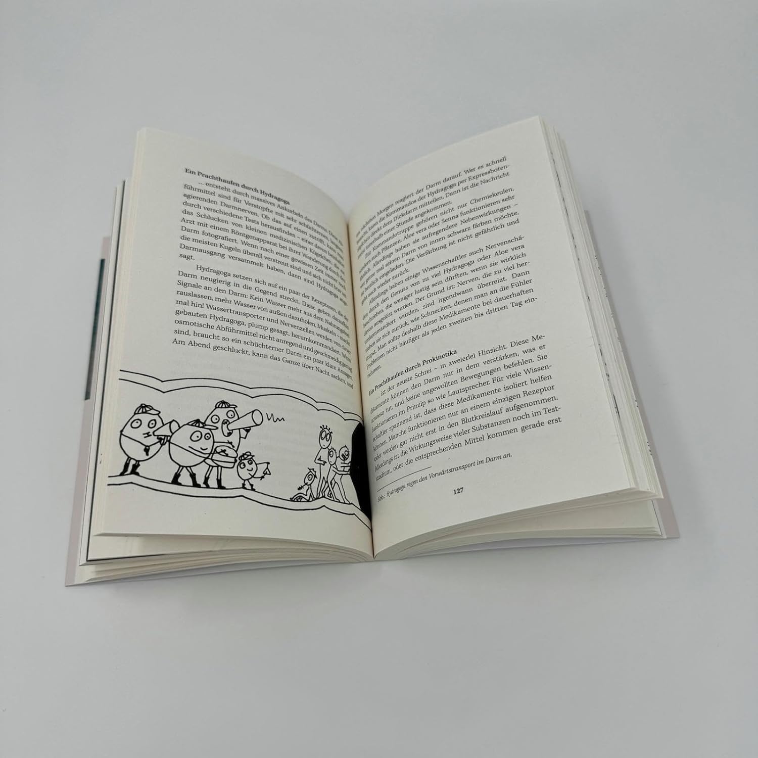 Darm mit Charme: Alles über ein unterschätztes Organ