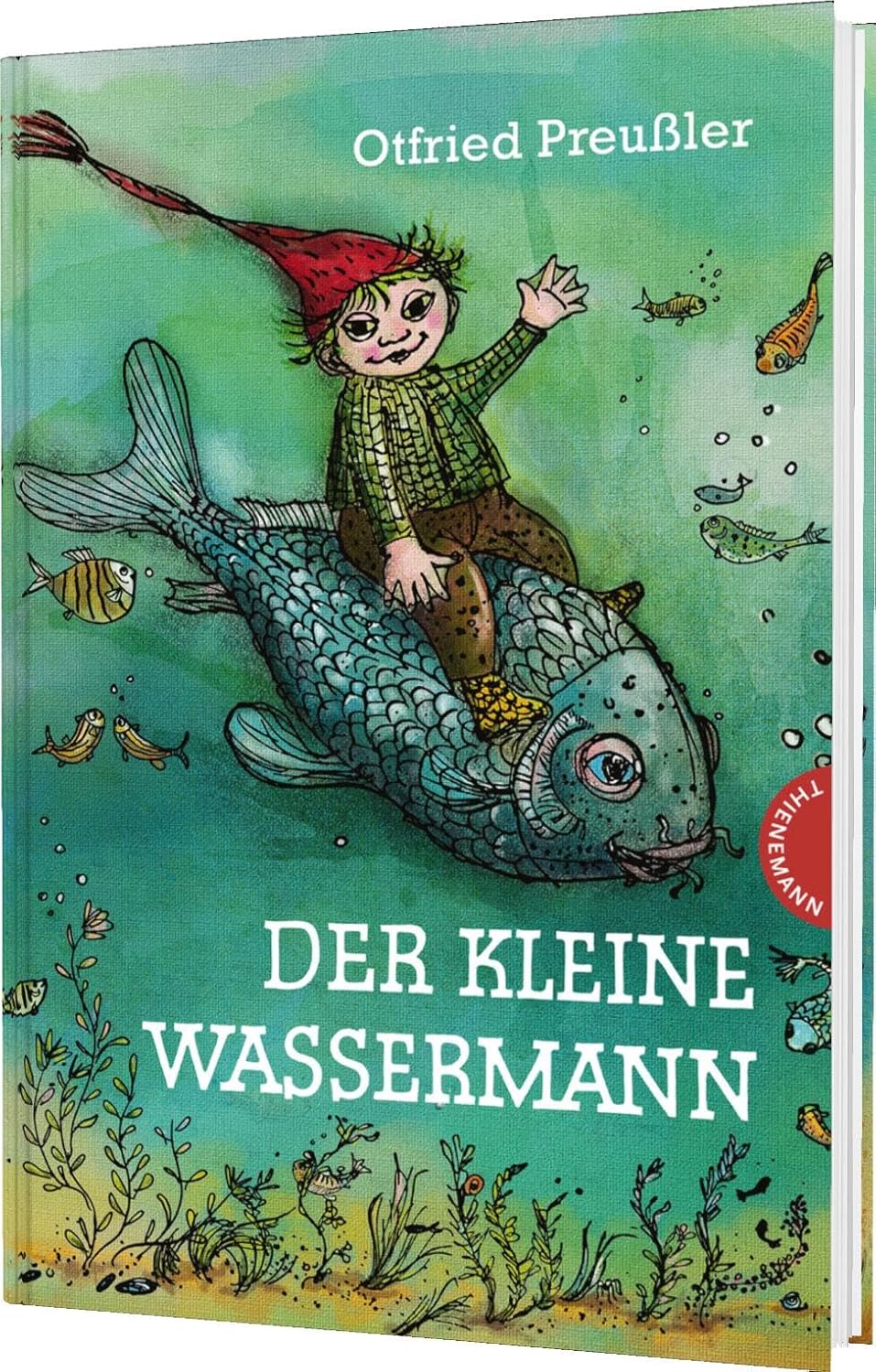 Der kleine Wassermann: gebundene Ausgabe bunt illustriert