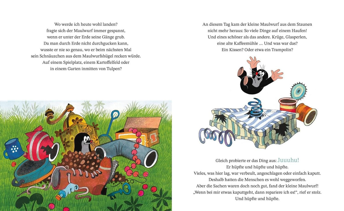 Der kleine Maulwurf und der Regenschirm