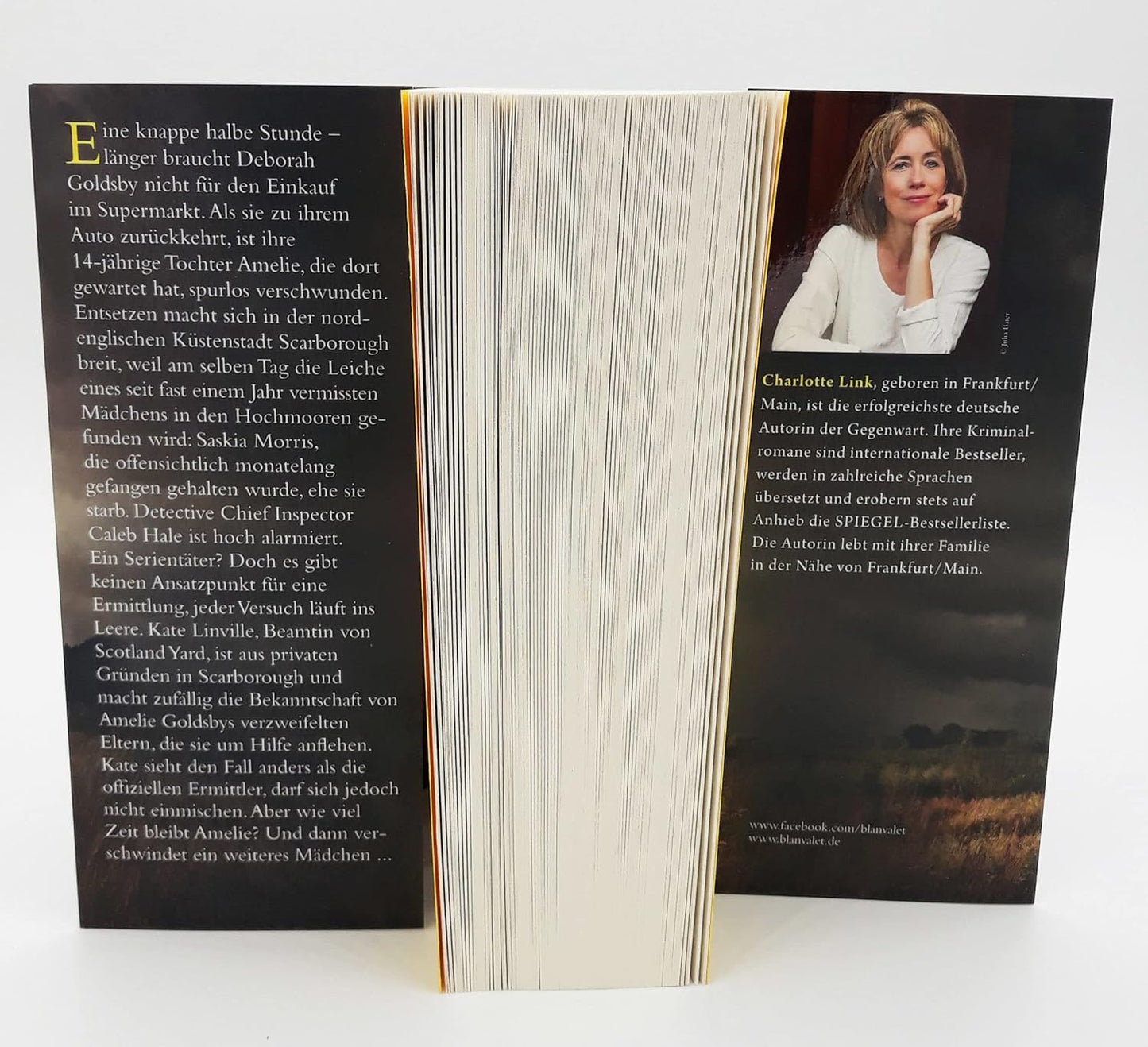 Die Suche: Kriminalroman (Die Kate-Linville-Reihe, Band 2)