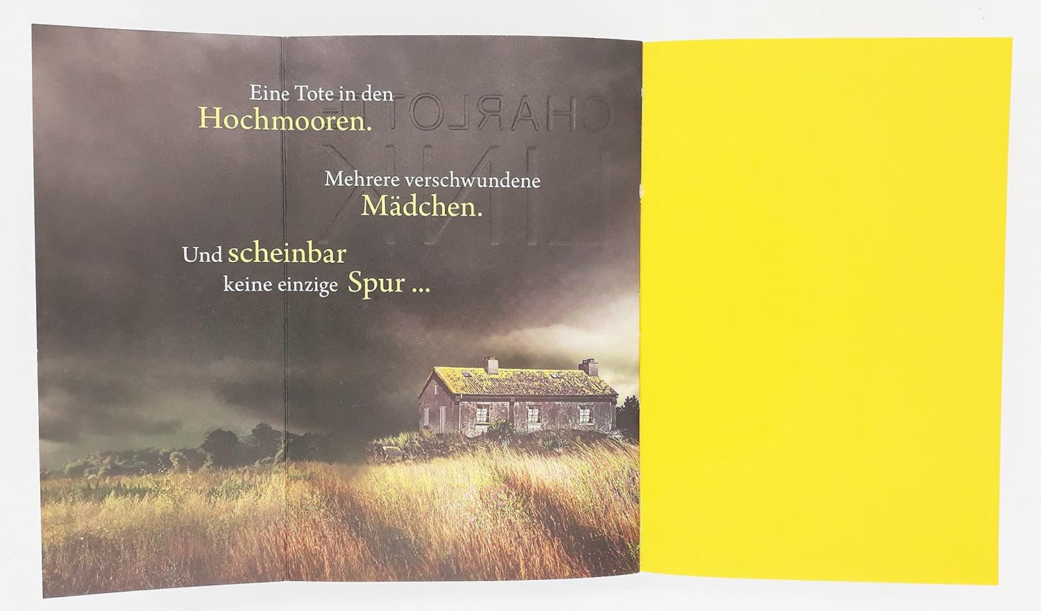 Die Suche: Kriminalroman (Die Kate-Linville-Reihe, Band 2)