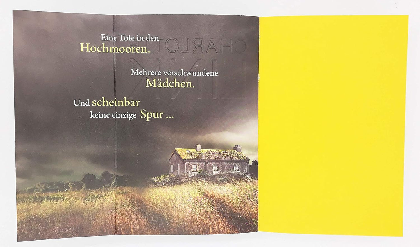 Die Suche: Kriminalroman (Die Kate-Linville-Reihe, Band 2)