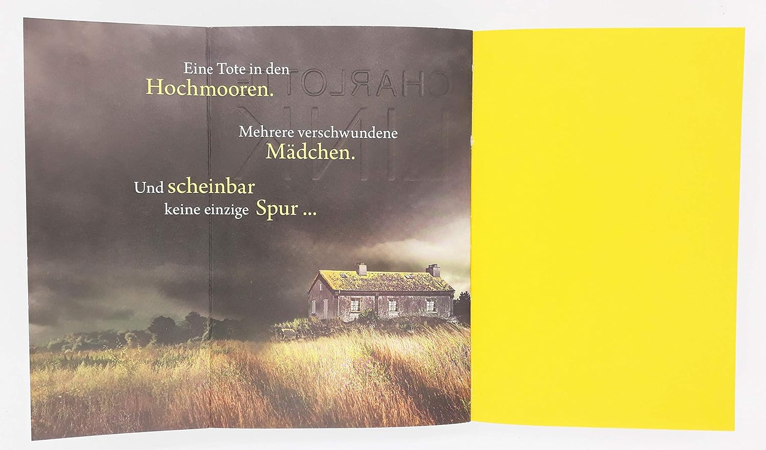 Die Suche: Kriminalroman (Die Kate-Linville-Reihe, Band 2)