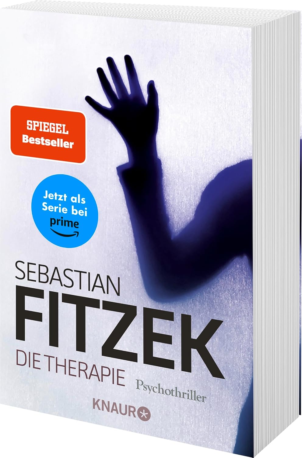 Die Therapie