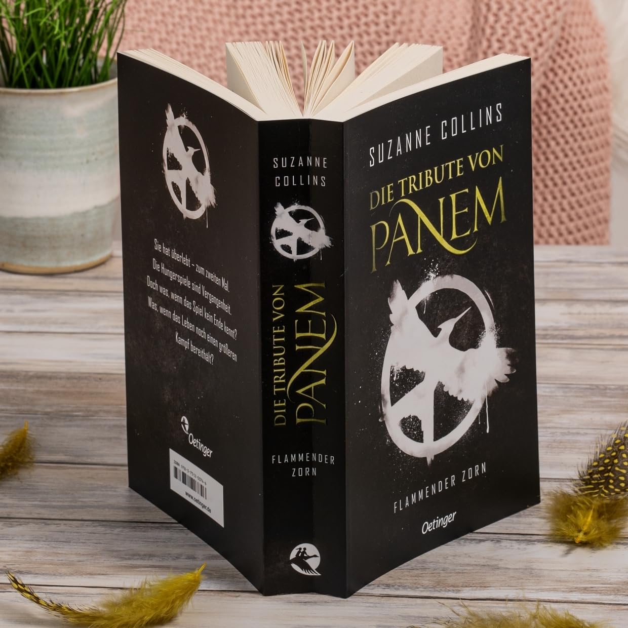 Die Tribute von Panem 3. Flammender Zorn