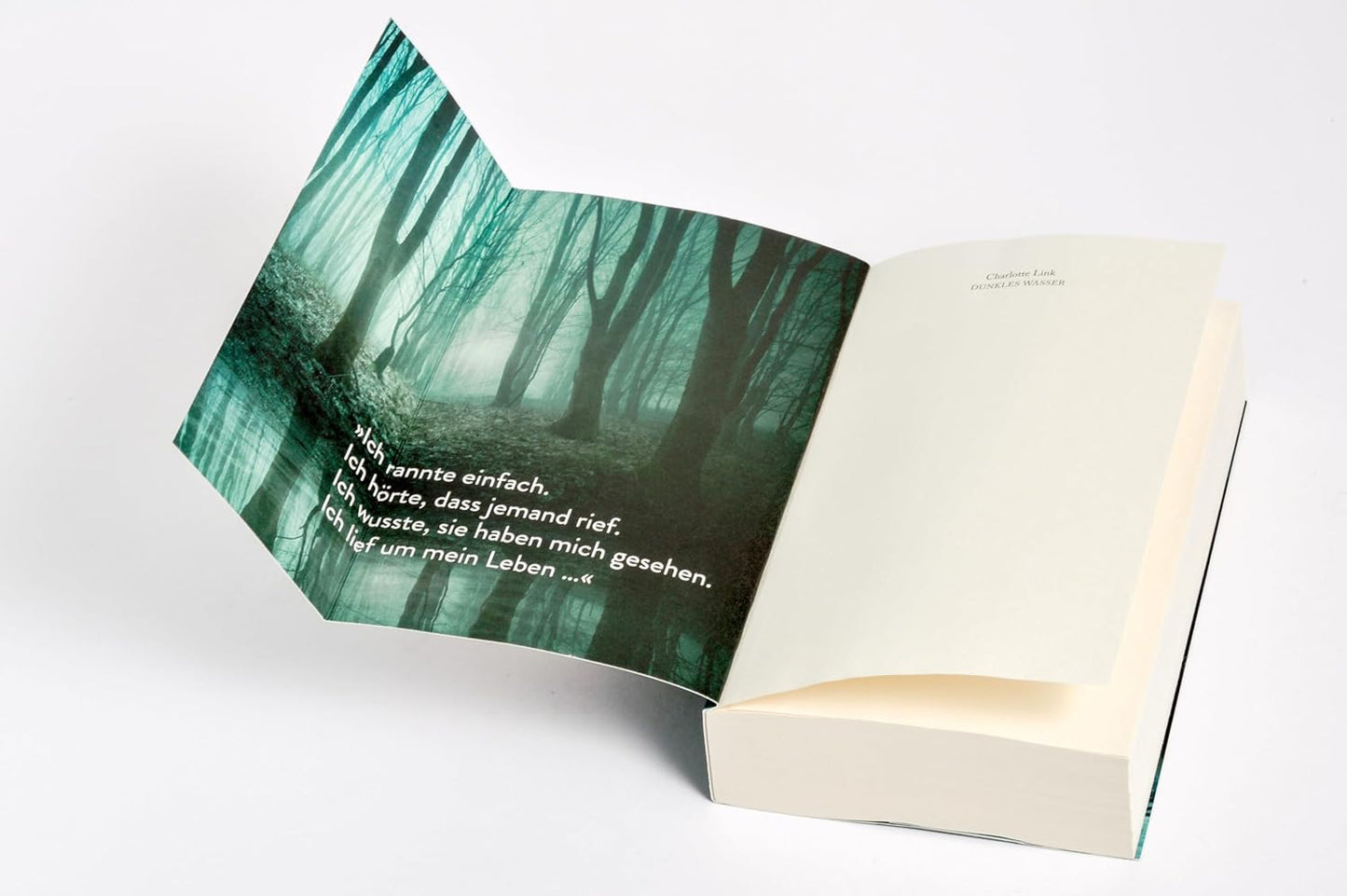 Dunkles Wasser: Ein Kate-Linville-Thriller