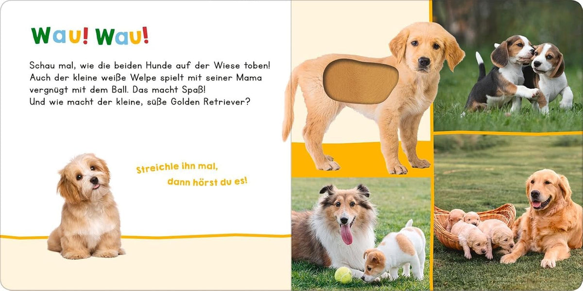 Hör mal rein, wer kann das sein? – Meine ersten Tiere: Streicheln und hören
