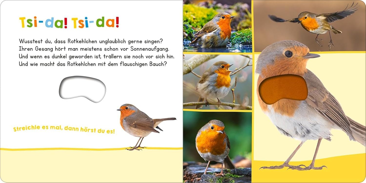 Hör mal rein, wer kann das sein? – Vögel