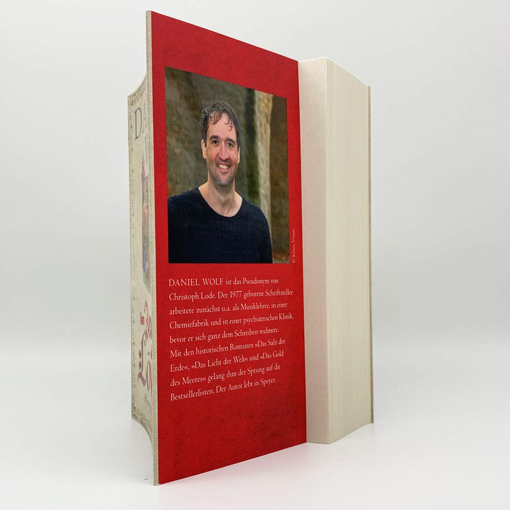 Im Zeichen des Löwen: Historischer Roman (Friesen-Saga, Band 1)