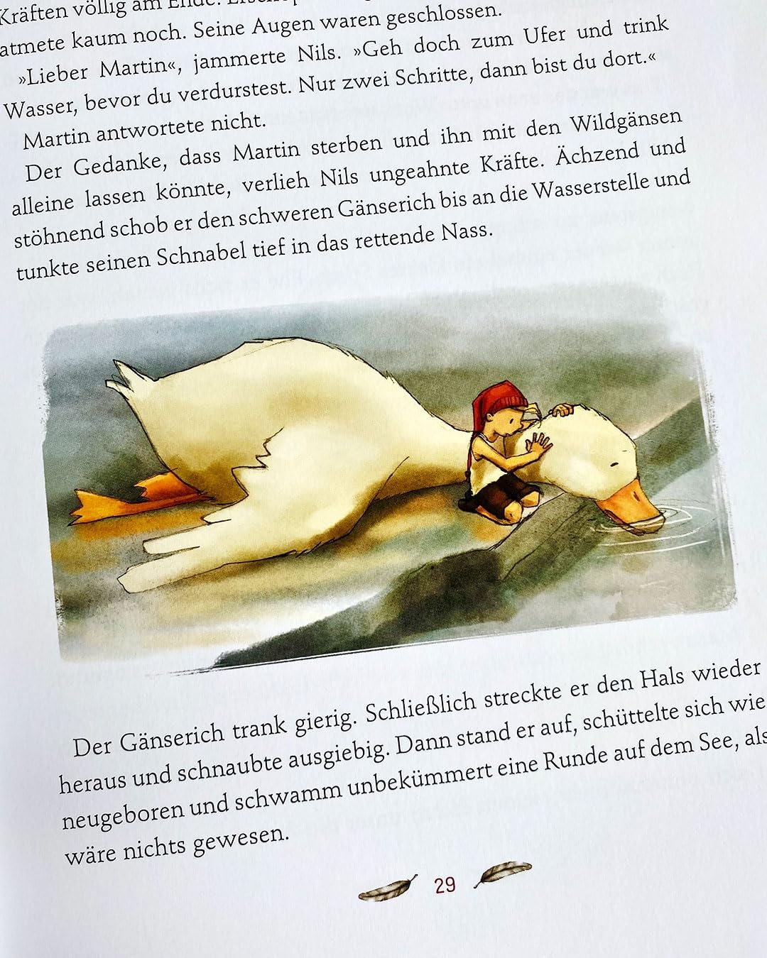 Klassiker zum Vorlesen. Nils Holgersson