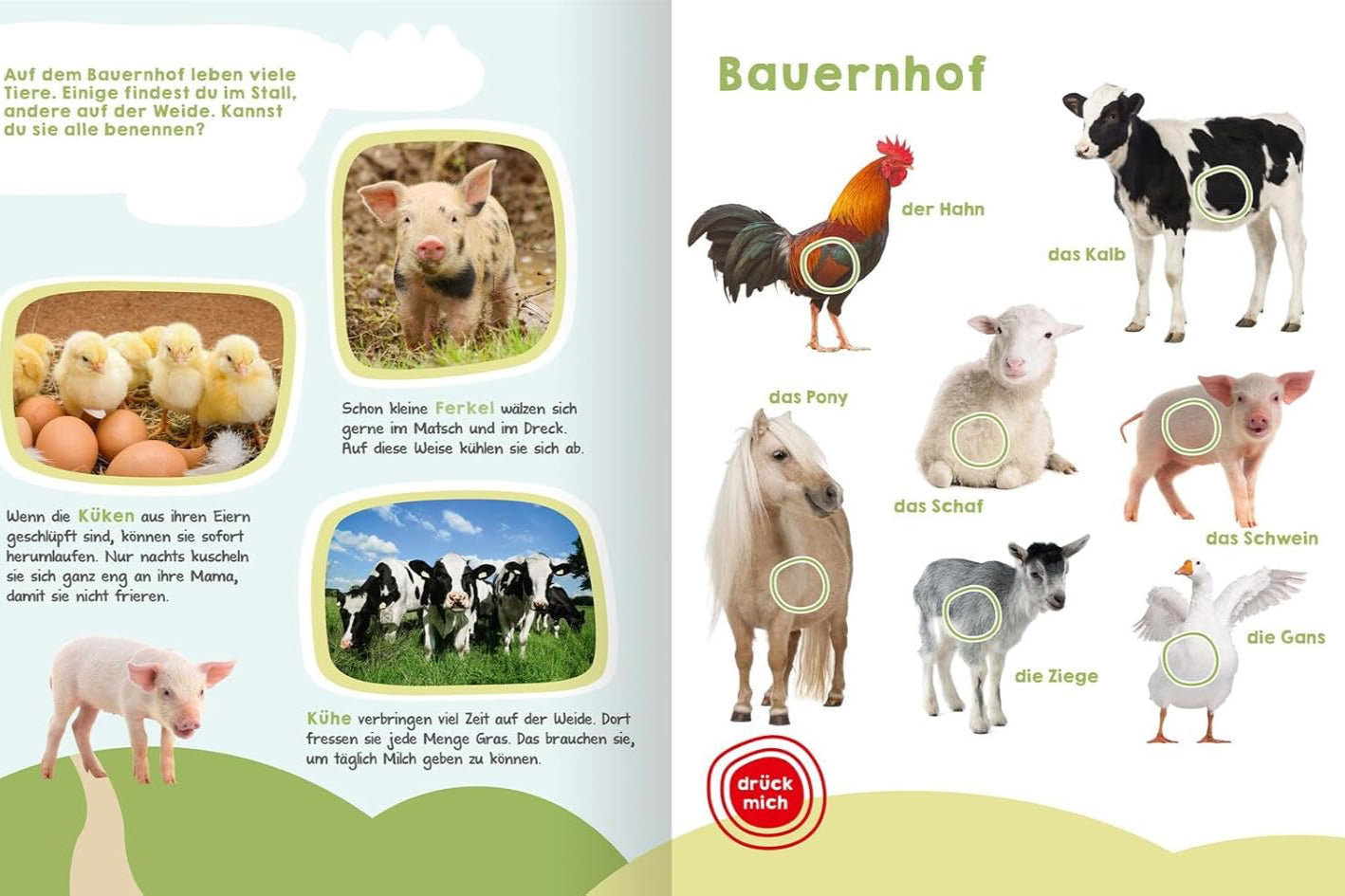 Mein großes Buch der Tiergeräusche