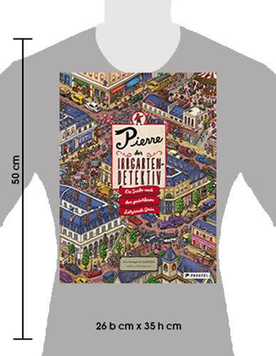 Pierre, der Irrgarten-Detektiv: Die Suche nach dem gestohlenen Labyrinth-Stein