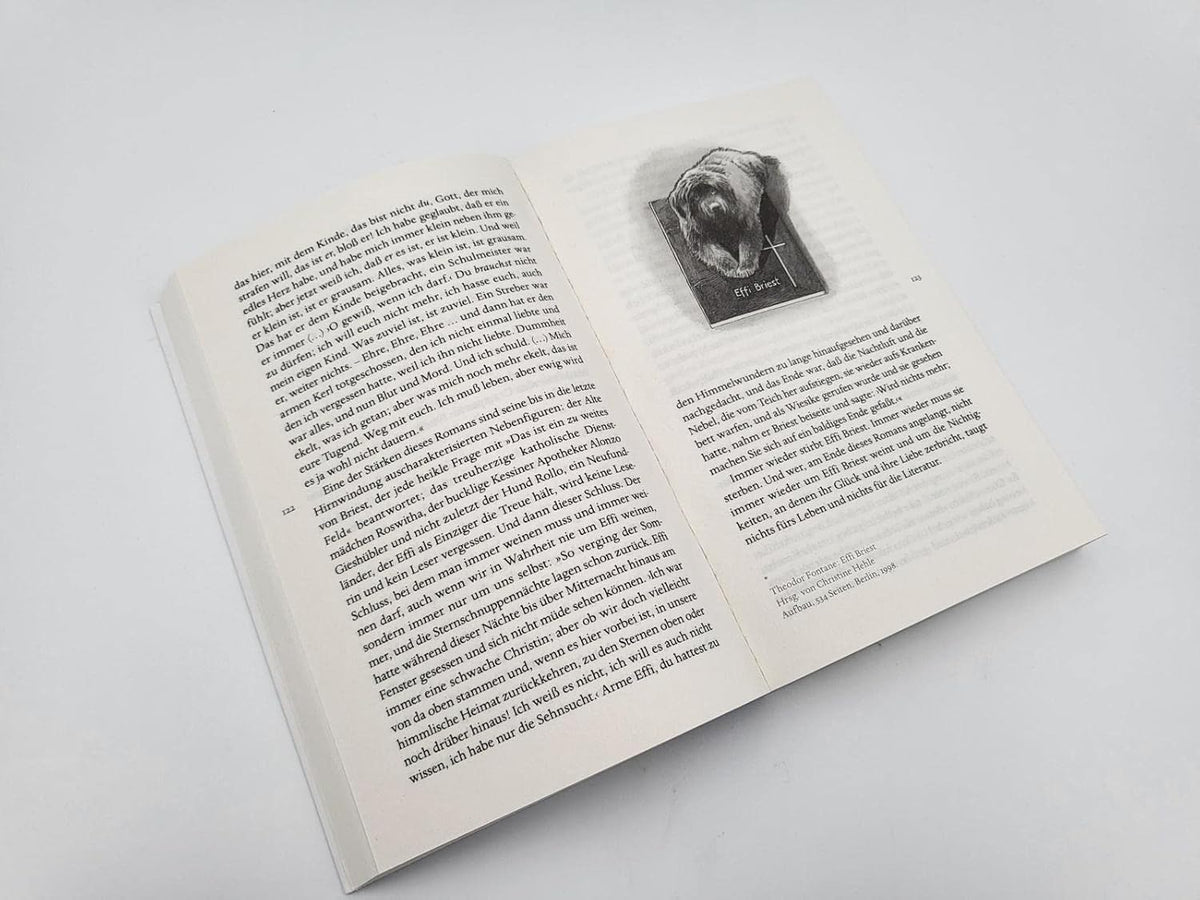 Schecks Kanon: Die 100 wichtigsten Werke der Weltliteratur – Von »Krieg und Frieden« bis »Tim und Struppi«
