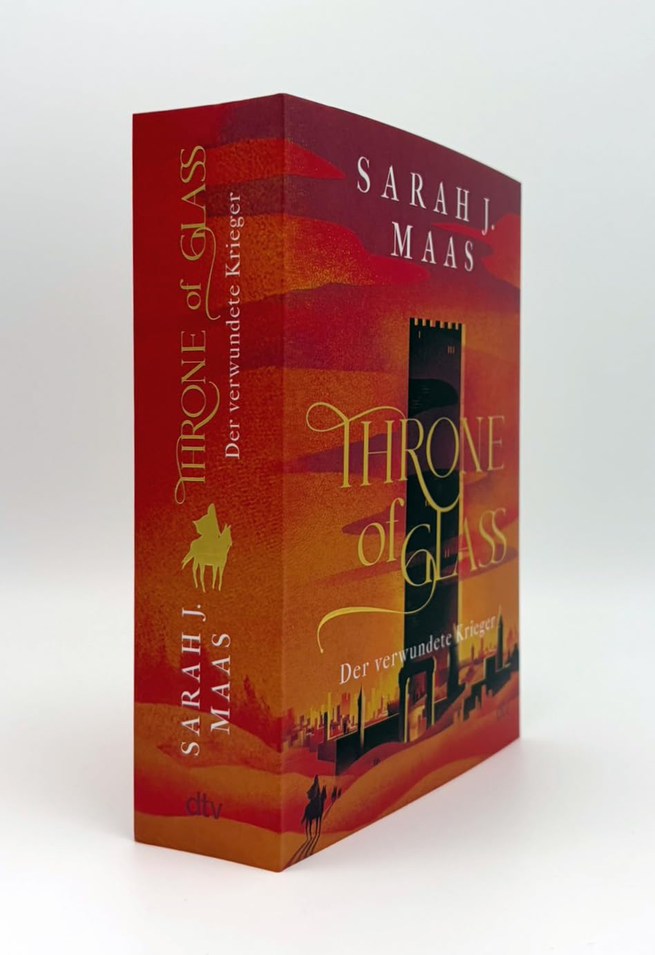 Throne of Glass – Der verwundete Krieger (6)