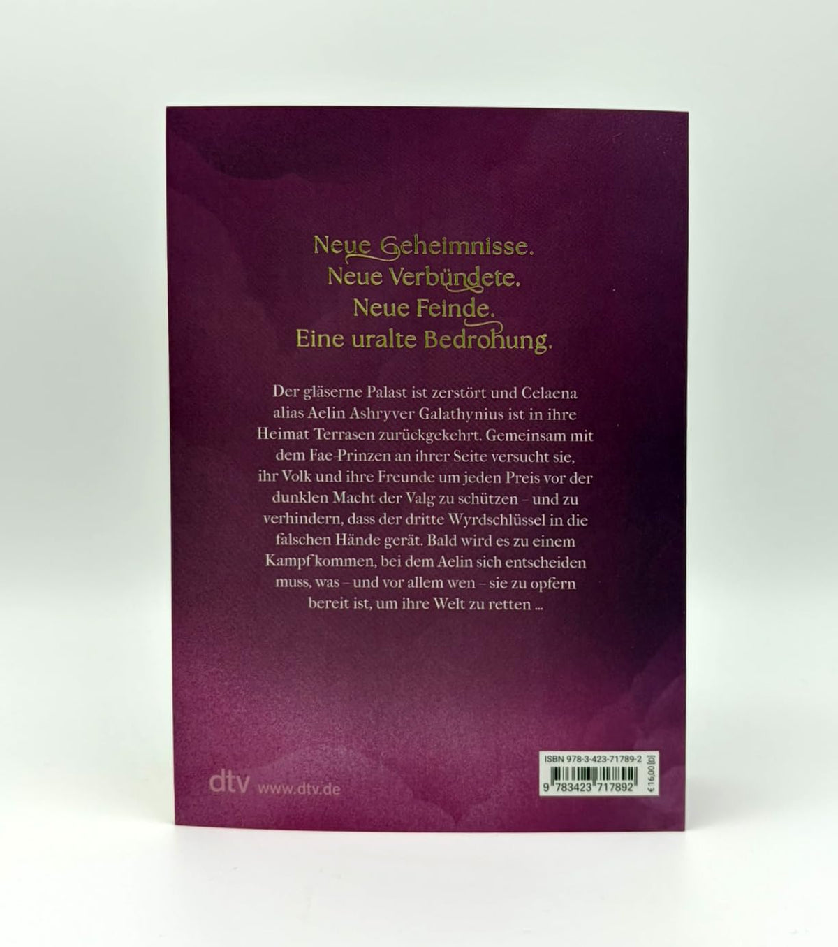 Throne of Glass – Die Sturmbezwingerin