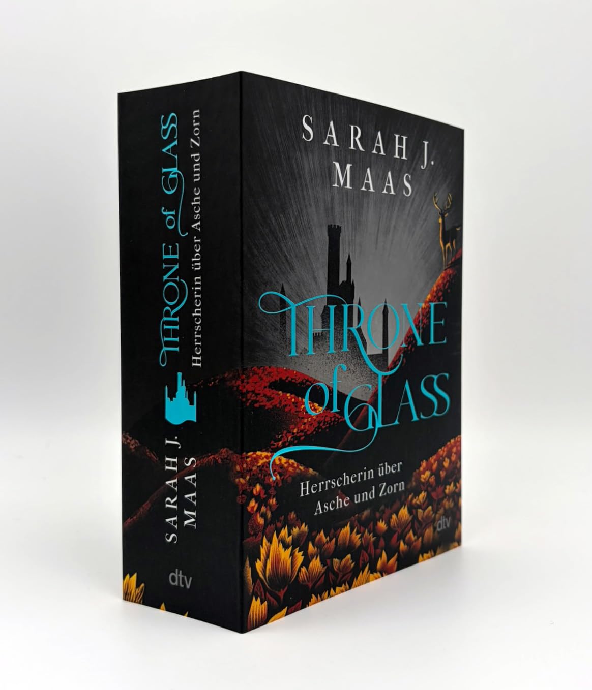 Throne of Glass – Herrscherin über Asche und Zorn